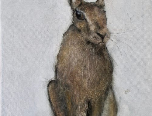 August Hare 2017