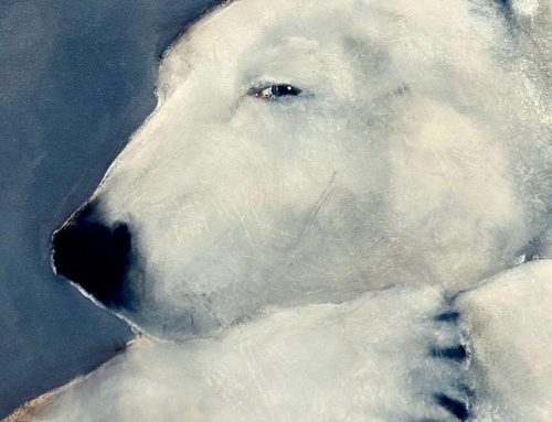 Polar Bear 2019